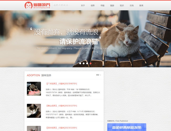 猫咪领养网