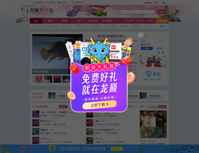 蜀麓紫砂壶艺术网