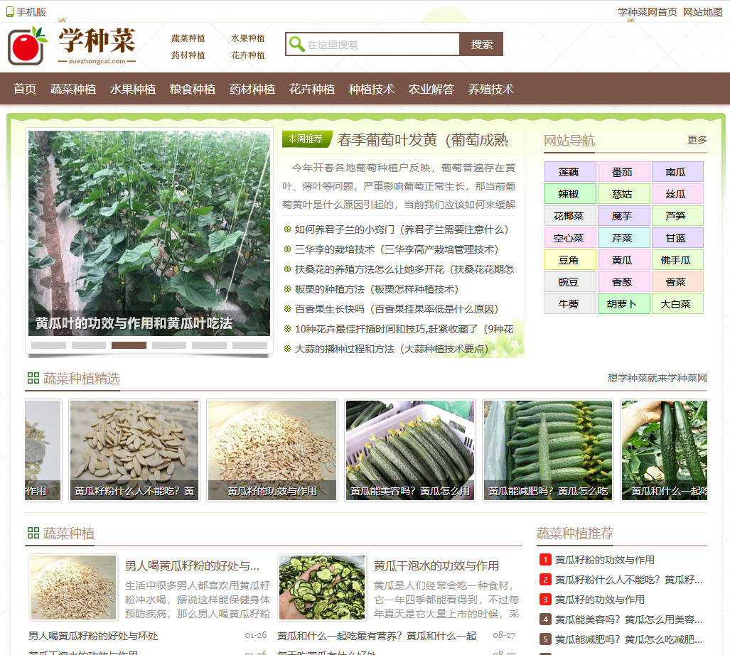学种菜网